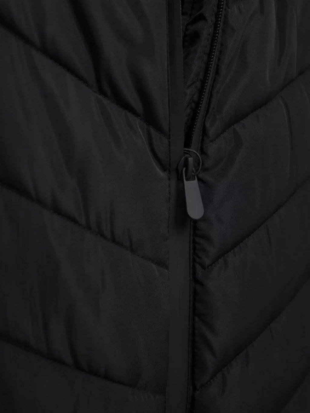 Soraia | Cotton padded coat with stand up collar