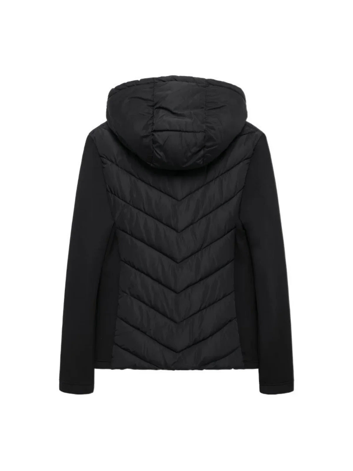 Soraia | Cotton padded coat with stand up collar